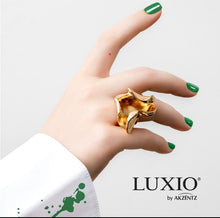 Load image into Gallery viewer, Luxio Certification Class