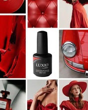 Load image into Gallery viewer, Luxio Strut *contour brush