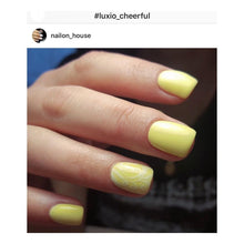 Load image into Gallery viewer, Luxio Cheerful