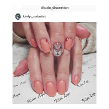 Load image into Gallery viewer, Luxio Discretion