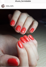 Load image into Gallery viewer, Luxio Formidable