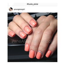 Load image into Gallery viewer, Luxio Pixie