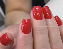 Load image into Gallery viewer, Luxio Prerogative