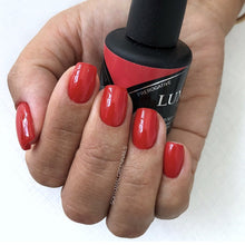 Load image into Gallery viewer, Luxio Prerogative