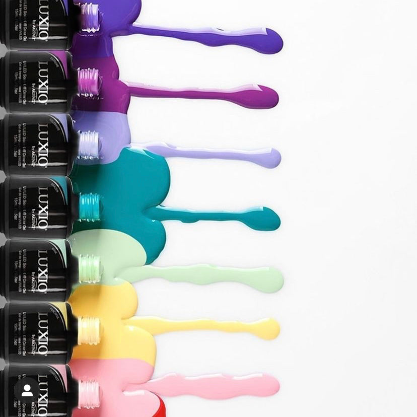 Luxio Certification Class