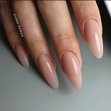 Load image into Gallery viewer, Pro-Formance Trinity Shades NEUTRAL- SN1