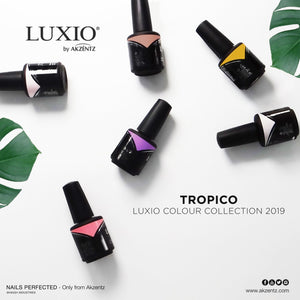 Luxio Audacious